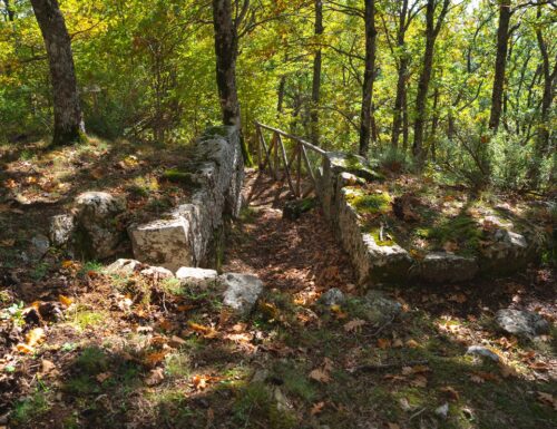Acropoli del Monte Croccia, la storia più antica nel cuore del bosco