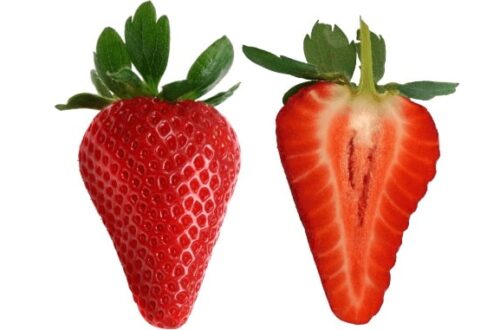 Candonga, the Lucanian strawberry that travels the world