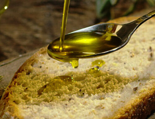 Extravergine d'oliva, un'eccellenza lucana. L'olio evo premiato da Bibenda in Basilicata