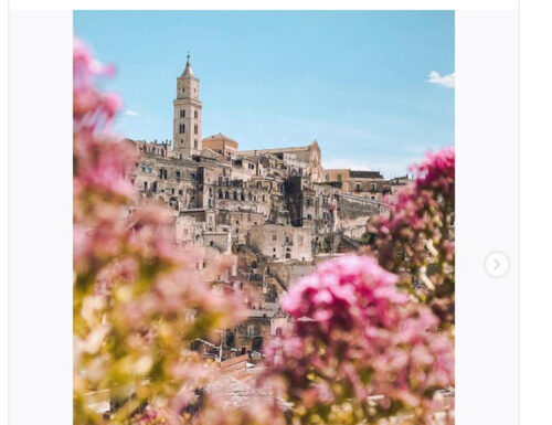 Fiori in boccio in Basilicata colorano Instagram