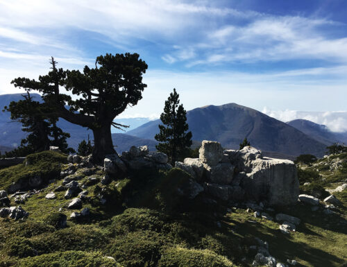 The Pollino park is born, a paradise where you can breathe the Apennine air
