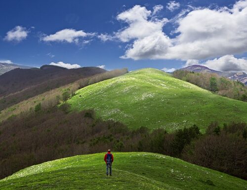 È ufficiale: Il Parco dell’Appennino Lucano Val d’Agri Lagonegrese  è un’area protetta