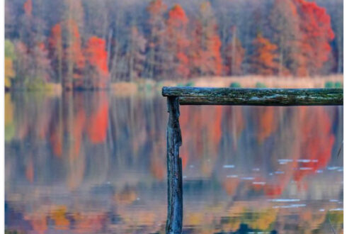 Magie d'autunno sui laghi di Monticchio