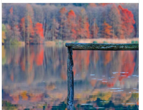 Magie d'autunno sui laghi di Monticchio