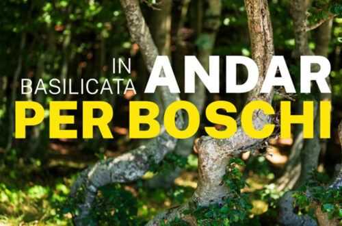 WayCover 26 settembre - Andar per boschi in Basilicata