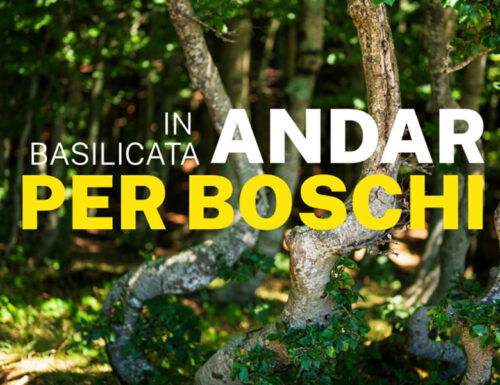 WayCover 26 settembre - Andar per boschi in Basilicata