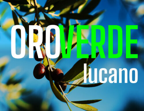 WayCover 5 ottobre - Oro verde lucano
