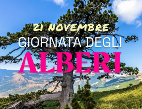 21 novembre, Giornata nazionale degli alberi