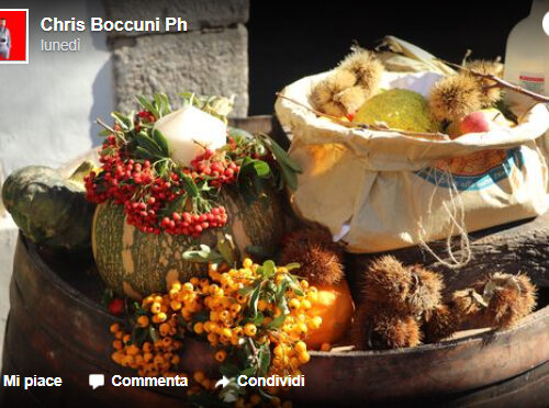 Sagre e sapori d'autunno in Basilicata