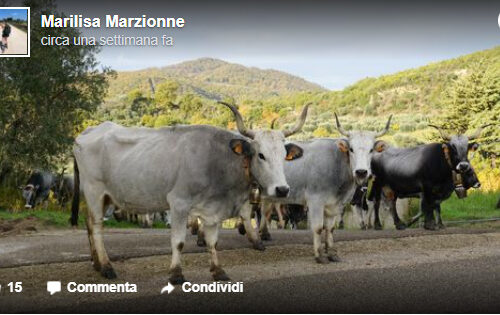 Appunti di viaggio, tra sogni e pensieri liberi, in Basilicata