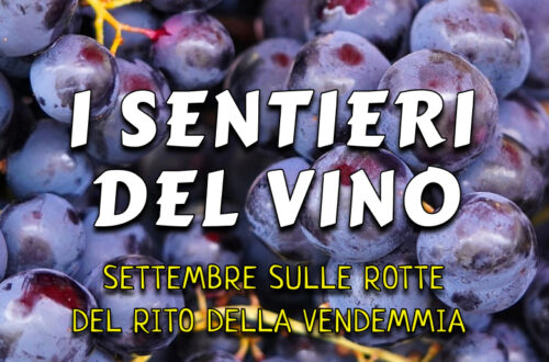 I sentieri del vino in Basilicata