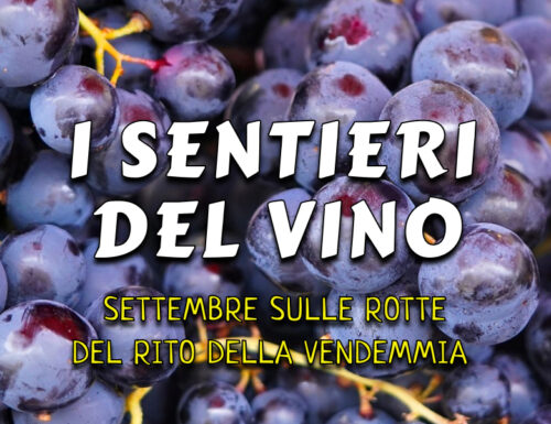 I sentieri del vino in Basilicata