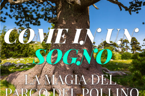 WayCover 16 marzo - Come in un sogno, la magia del Parco del Pollino