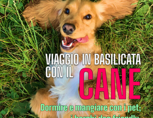 WayCover 25 maggio - In viaggio con i cani in Basilicata