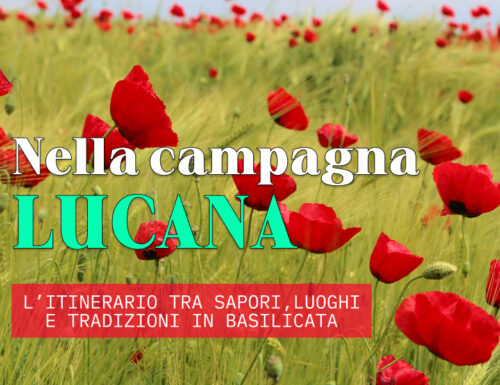 WayCover 24 maggio - In viaggio sulle strade dell'anima contadina lucana