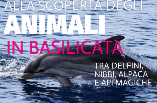 WayCover 26 giugno - Alla scoperta degli animali in Basilicata
