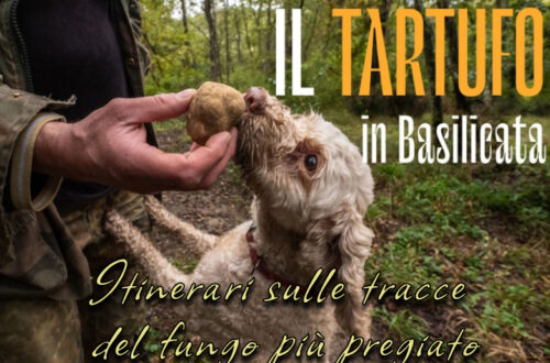 Il tartufo in Basilicata: gli itinerari lucani sulle tracce del fungo più pregiato