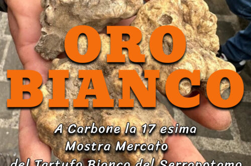 Tesori del territorio: a Carbone la 17esima Mostra Mercato del tartufo bianco del Serrapotamo