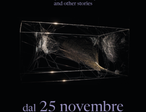 Life(s) of Webs, arachnophobias, arachnophilias, and other stories: la mostra a Palazzo Lanfranchi a Matera